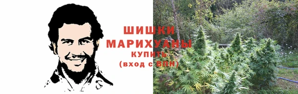 гидропоника Белокуриха