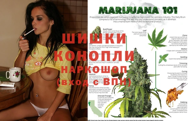 сатива Белоозёрский