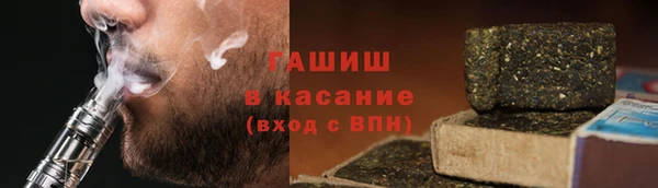 сатива Беломорск