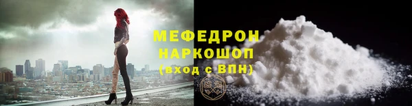 сатива Беломорск