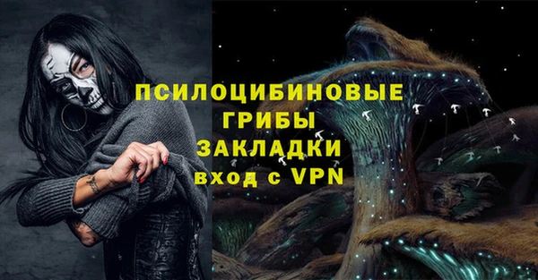 сатива Белоозёрский