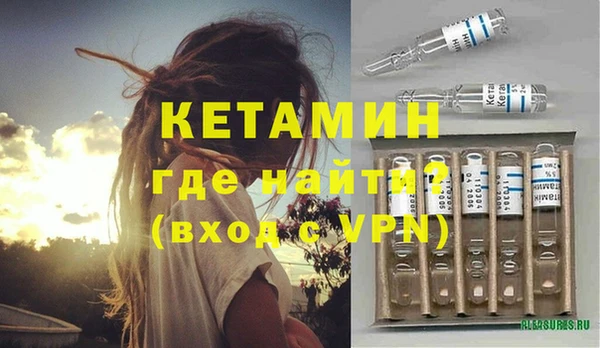 сатива Беломорск