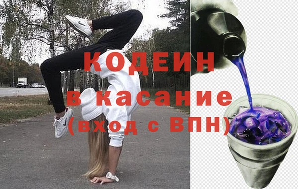 сатива Беломорск