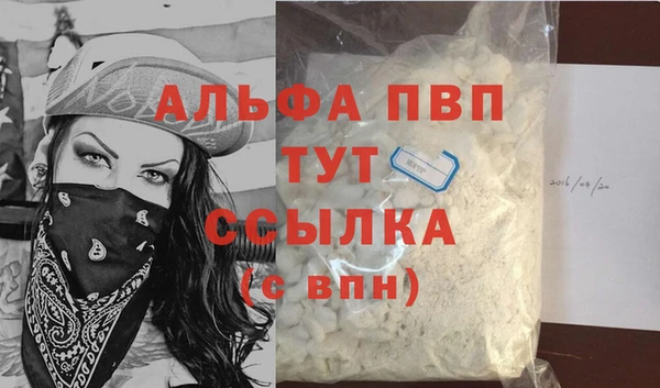 сатива Беломорск
