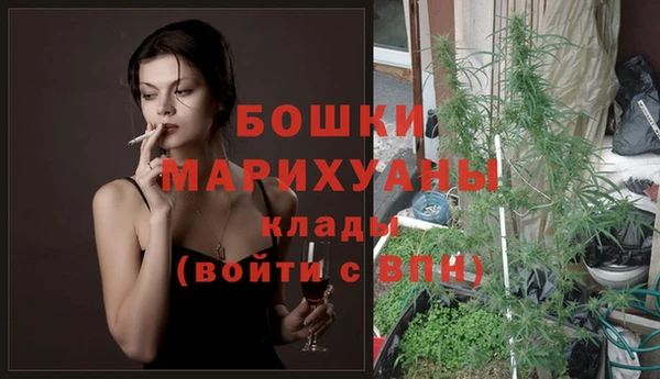 гидропоника Белокуриха