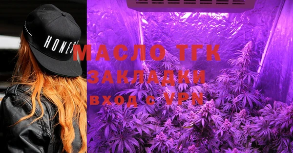 сатива Беломорск