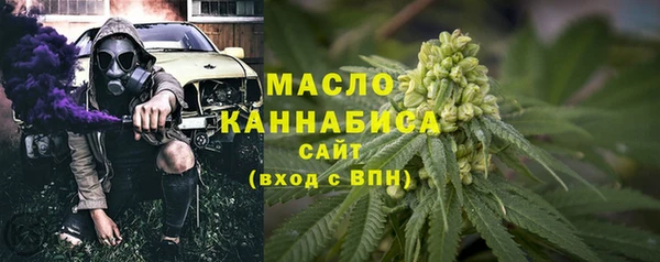 сатива Беломорск